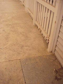 ashonsidewalk.JPG